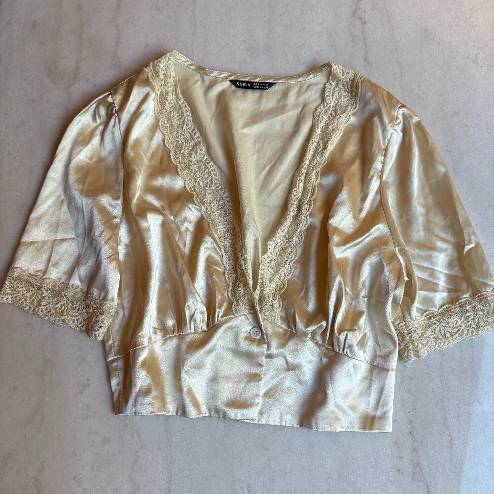 Satin Lace Plunging Neck Crop Top